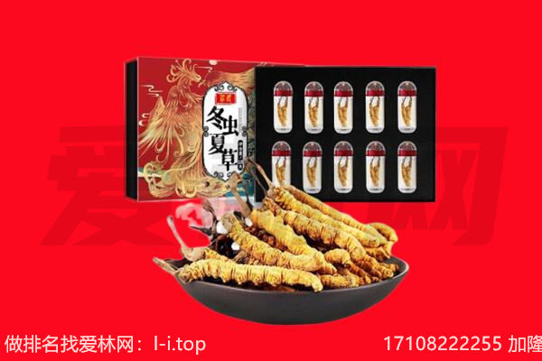 黄陂区回收虫草.jpg